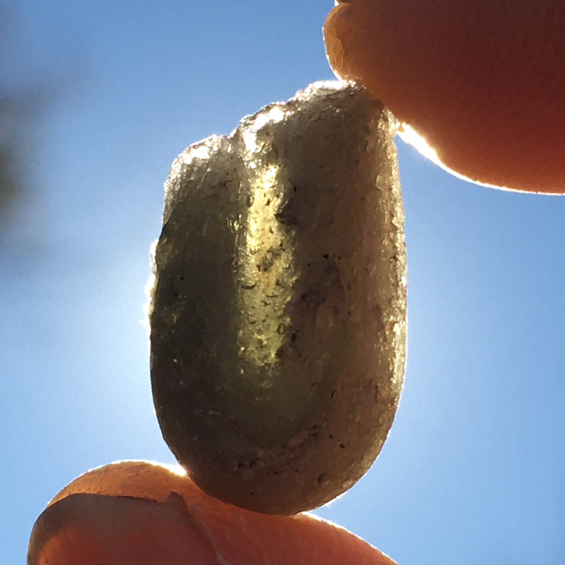 Darwinite Darwin Glass Tektite 2.4 grams-Moldavite Life