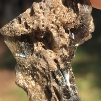 Darwinite Darwin Glass Tektite 3.5 grams-Moldavite Life