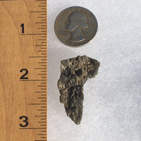 Darwinite Darwin Glass Tektite 3.5 grams-Moldavite Life
