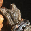 Darwinite Darwin Glass Tektite 3.1 grams-Moldavite Life