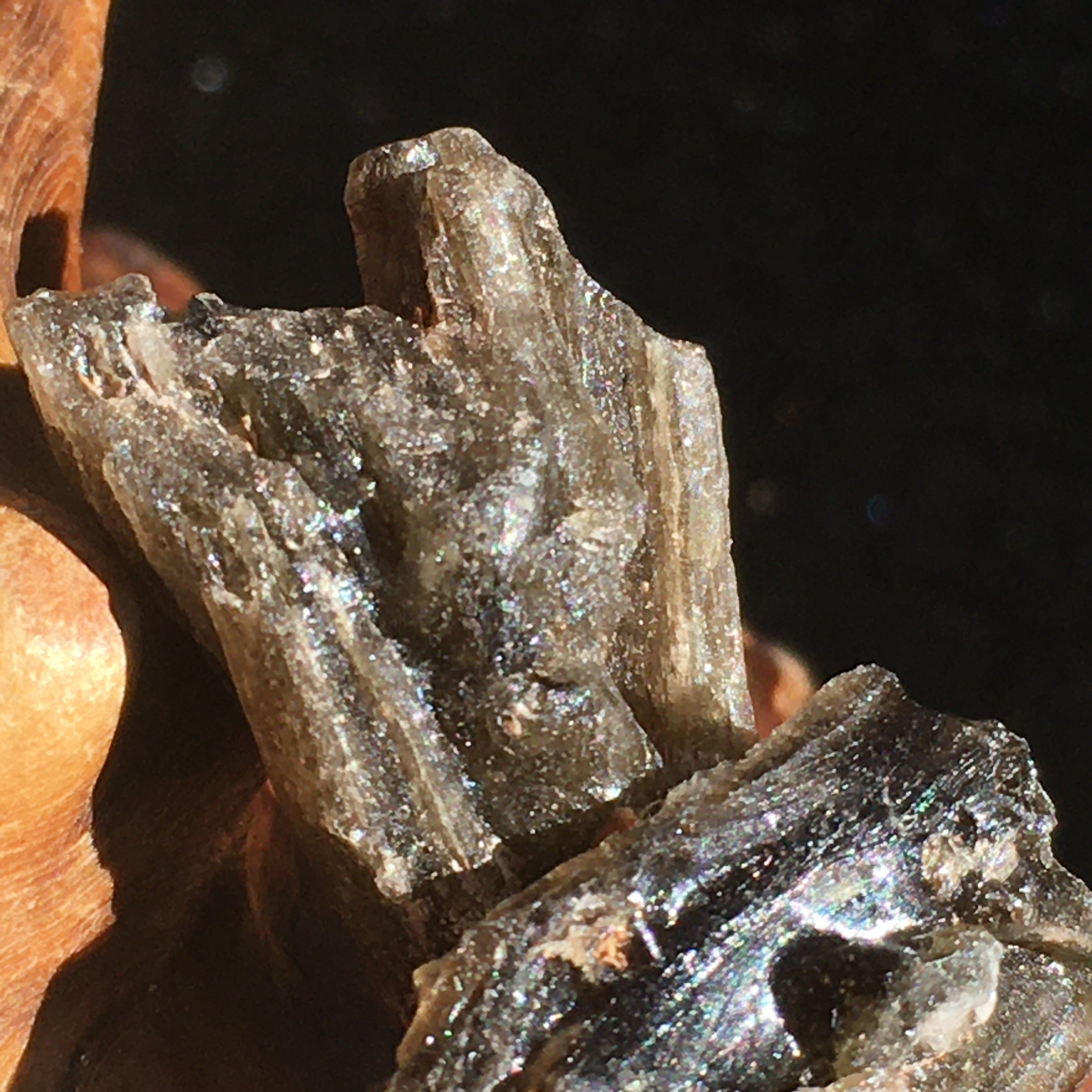 Darwinite Darwin Glass Tektite 3.1 grams-Moldavite Life