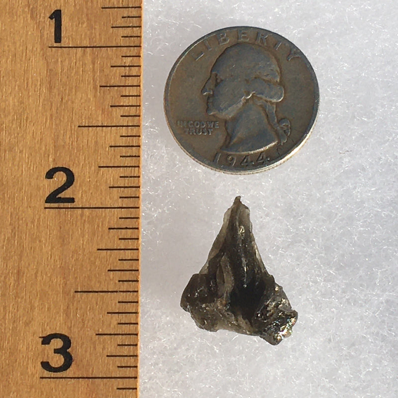 Darwinite Darwin Glass Tektite 1.4 grams-Moldavite Life