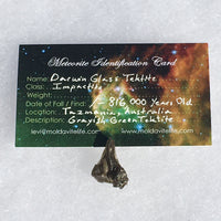 Darwinite Darwin Glass Tektite 1.4 grams-Moldavite Life