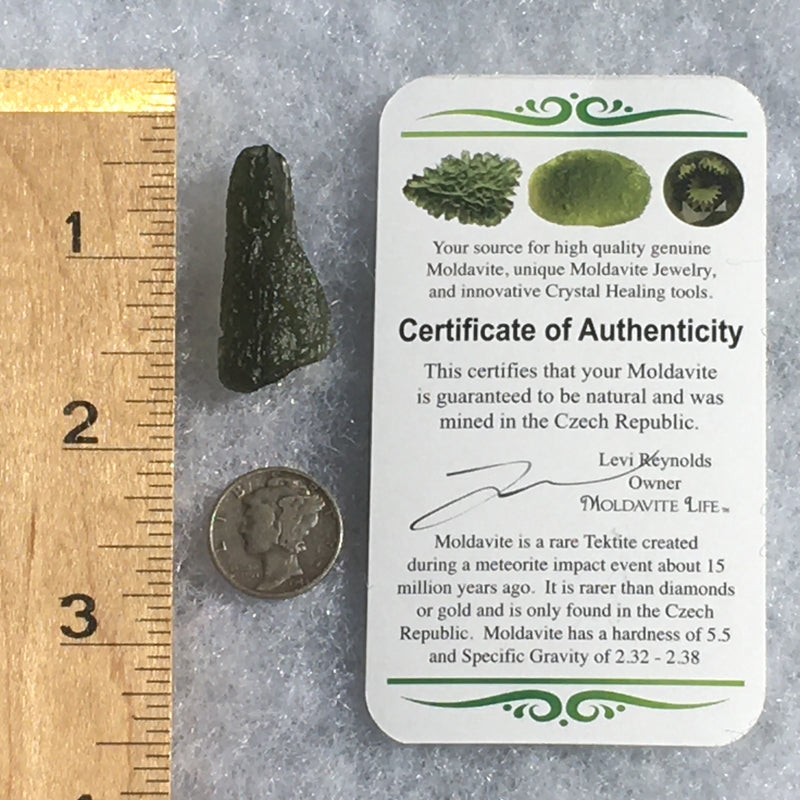 Genuine Moldavite 3.9 Grams-Moldavite Life