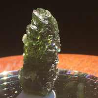 Moldavite 5.3 Grams-Moldavite Life