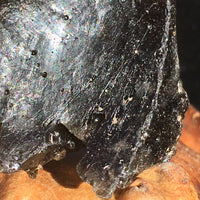 Darwinite Darwin Glass Tektite 7.6 grams-Moldavite Life