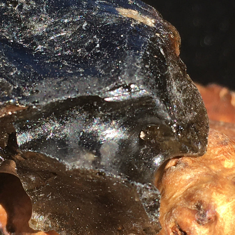 Darwinite Darwin Glass Tektite 7.6 grams-Moldavite Life