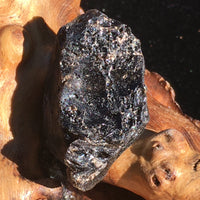 Darwinite Darwin Glass Tektite 8.7 grams-Moldavite Life