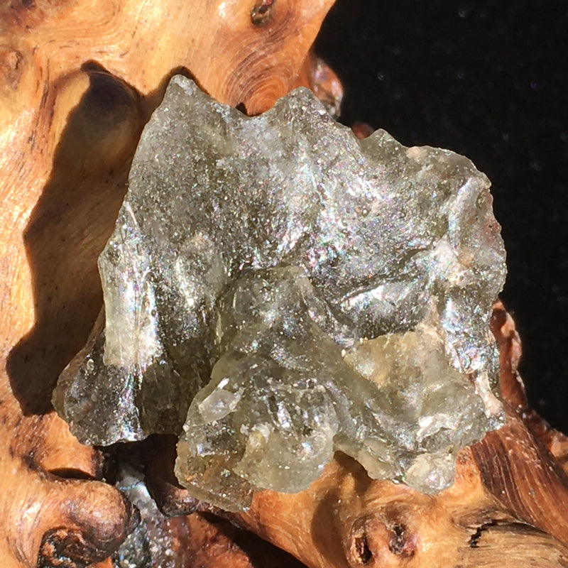 Darwinite Darwin Glass Tektite 9.5 grams-Moldavite Life