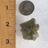 Darwinite Darwin Glass Tektite 9.5 grams-Moldavite Life