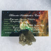 Darwinite Darwin Glass Tektite 9.5 grams-Moldavite Life