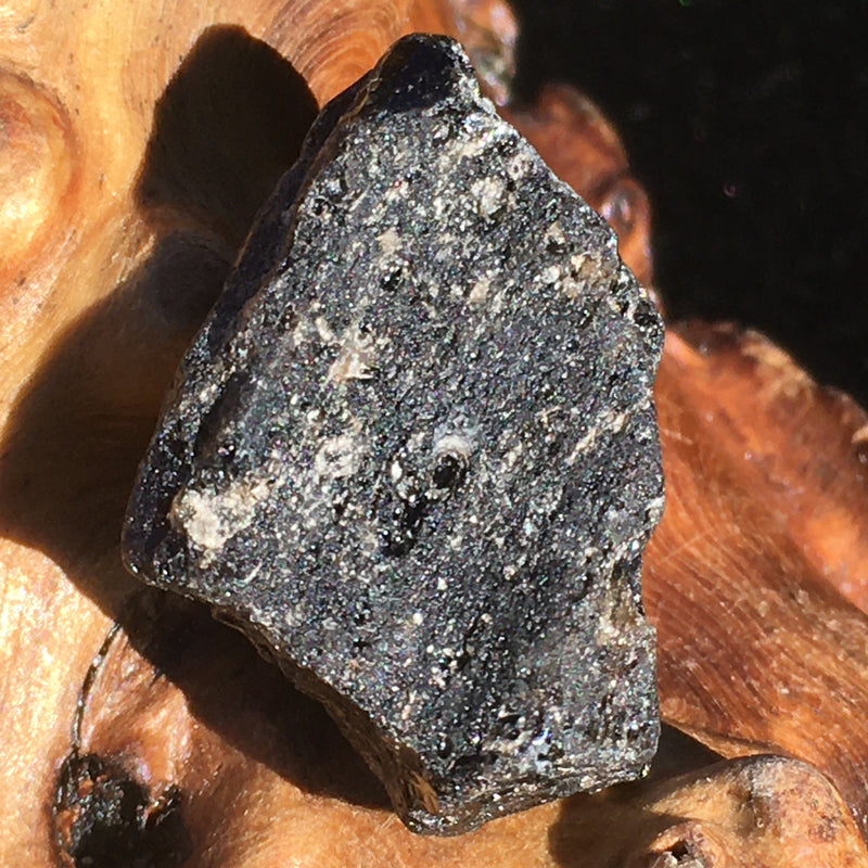 Darwinite Darwin Glass Tektite 4.4 grams-Moldavite Life