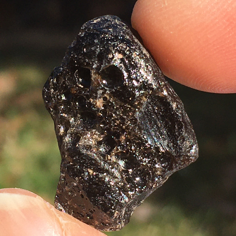 Darwinite Darwin Glass Tektite 4.4 grams-Moldavite Life