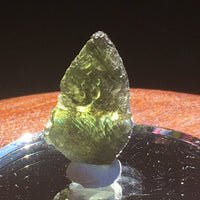 Genuine Moldavite 3.1 Grams-Moldavite Life