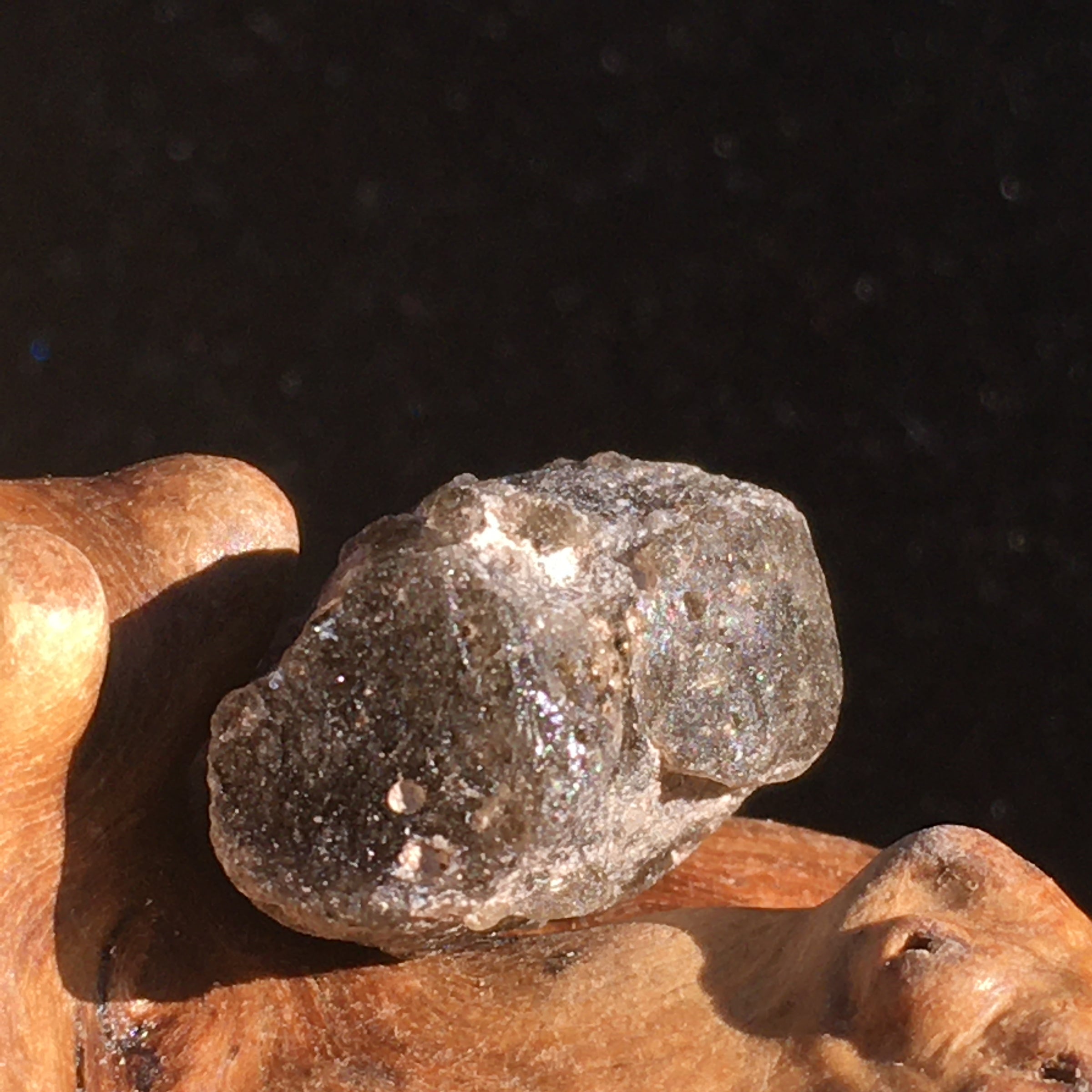 Darwinite Darwin Glass Tektite 5.8 grams-Moldavite Life