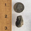 Darwinite Darwin Glass Tektite 5.8 grams-Moldavite Life