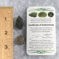 Genuine Moldavite 3.1 Grams-Moldavite Life