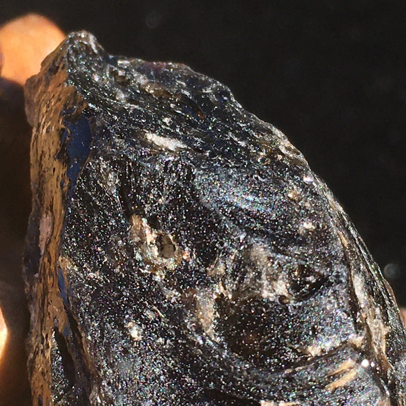 Darwinite Darwin Glass Tektite 9.0 grams-Moldavite Life