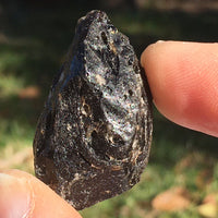 Darwinite Darwin Glass Tektite 9.0 grams-Moldavite Life