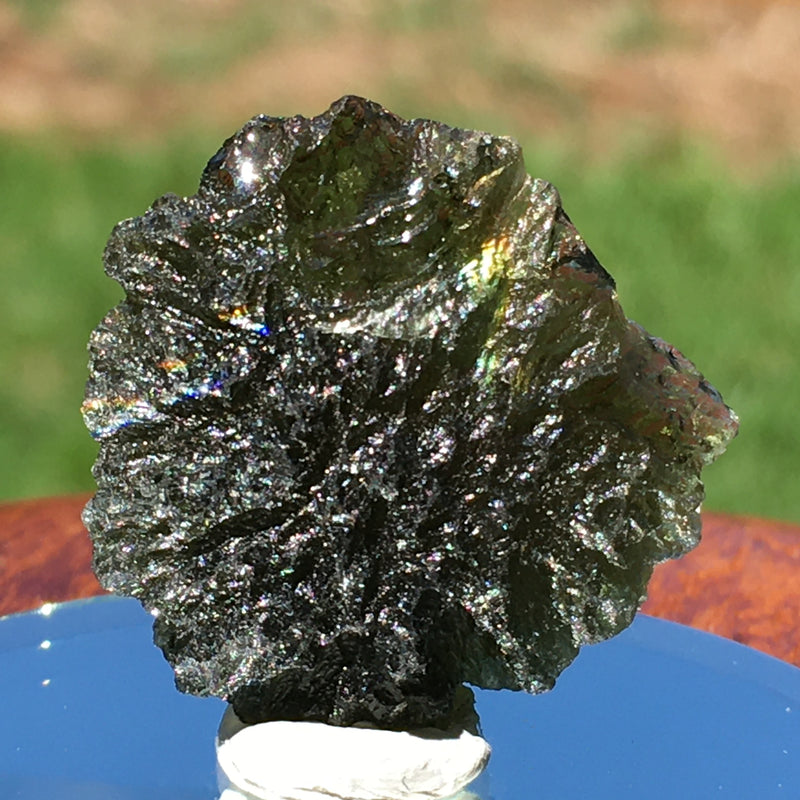 Genuine Moldavite 5.3 Grams