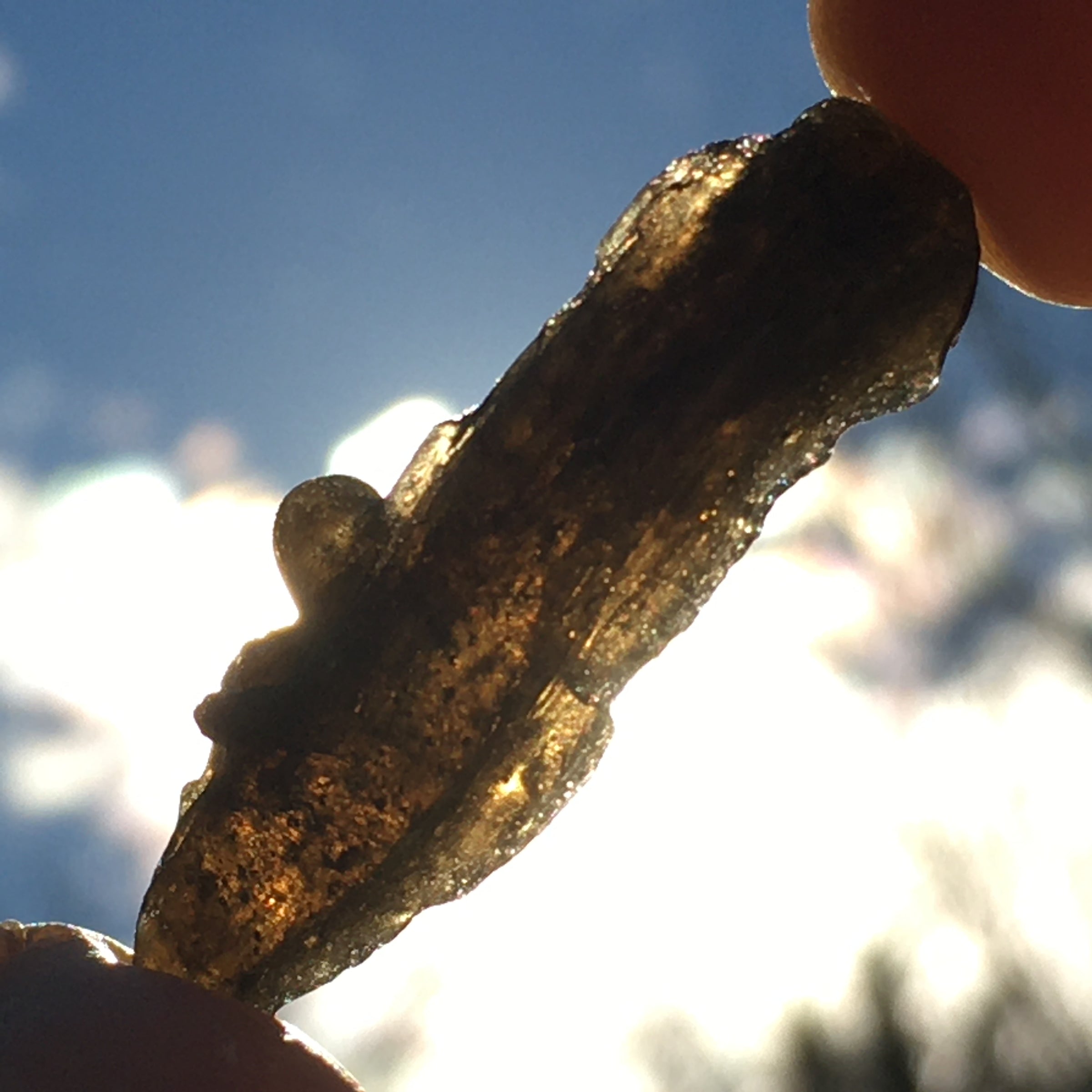 Darwinite Darwin Glass Tektite 2.9 grams-Moldavite Life