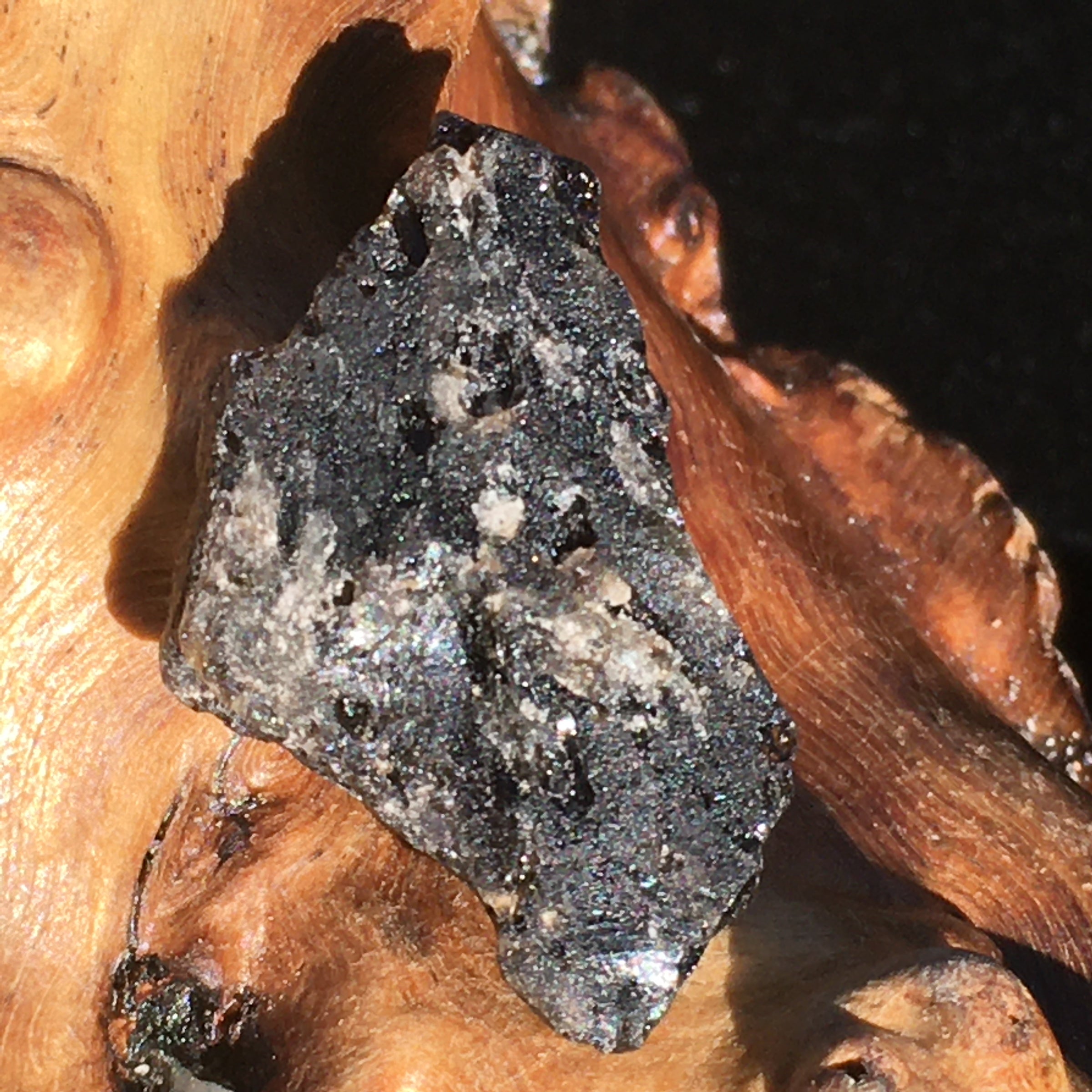 Darwinite Darwin Glass Tektite 2.7 grams-Moldavite Life