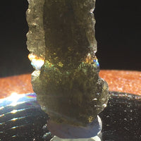 Genuine Moldavite 4.4 Grams-Moldavite Life