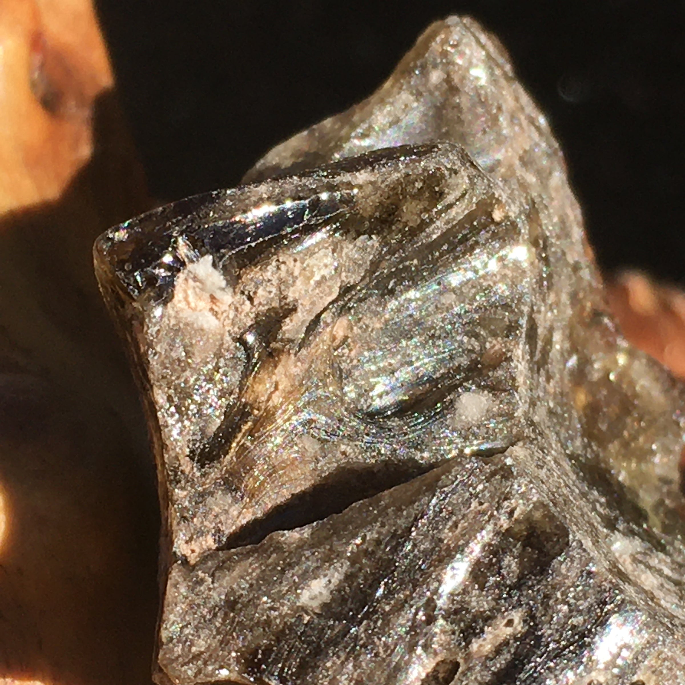 Darwinite Darwin Glass Tektite 7.4 grams-Moldavite Life