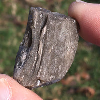 Darwinite Darwin Glass Tektite 8.9 grams-Moldavite Life