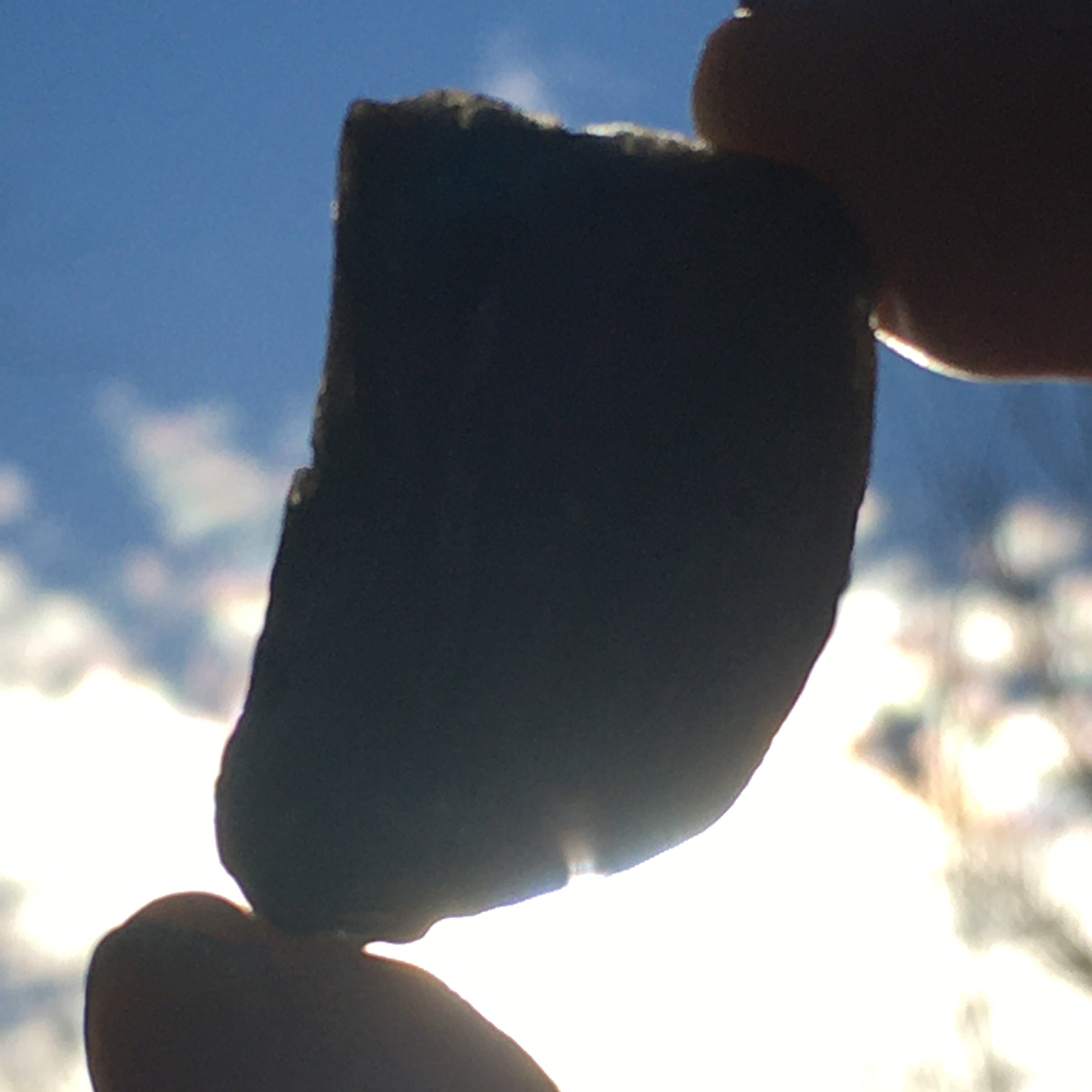 Darwinite Darwin Glass Tektite 8.9 grams-Moldavite Life