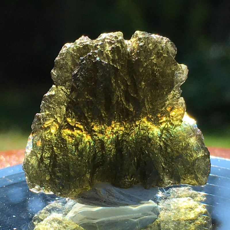 Genuine Moldavite 5.0 grams