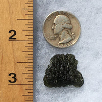 Genuine Moldavite 5.0 grams