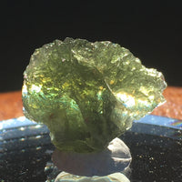 Genuine Moldavite 2.2 Grams-Moldavite Life