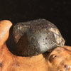 NWA 869 Meteorite Chondrite 8.4 grams-Moldavite Life