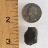 NWA 869 Meteorite Chondrite 8.4 grams-Moldavite Life