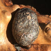 NWA 869 Meteorite Chondrite 7.9 grams-Moldavite Life