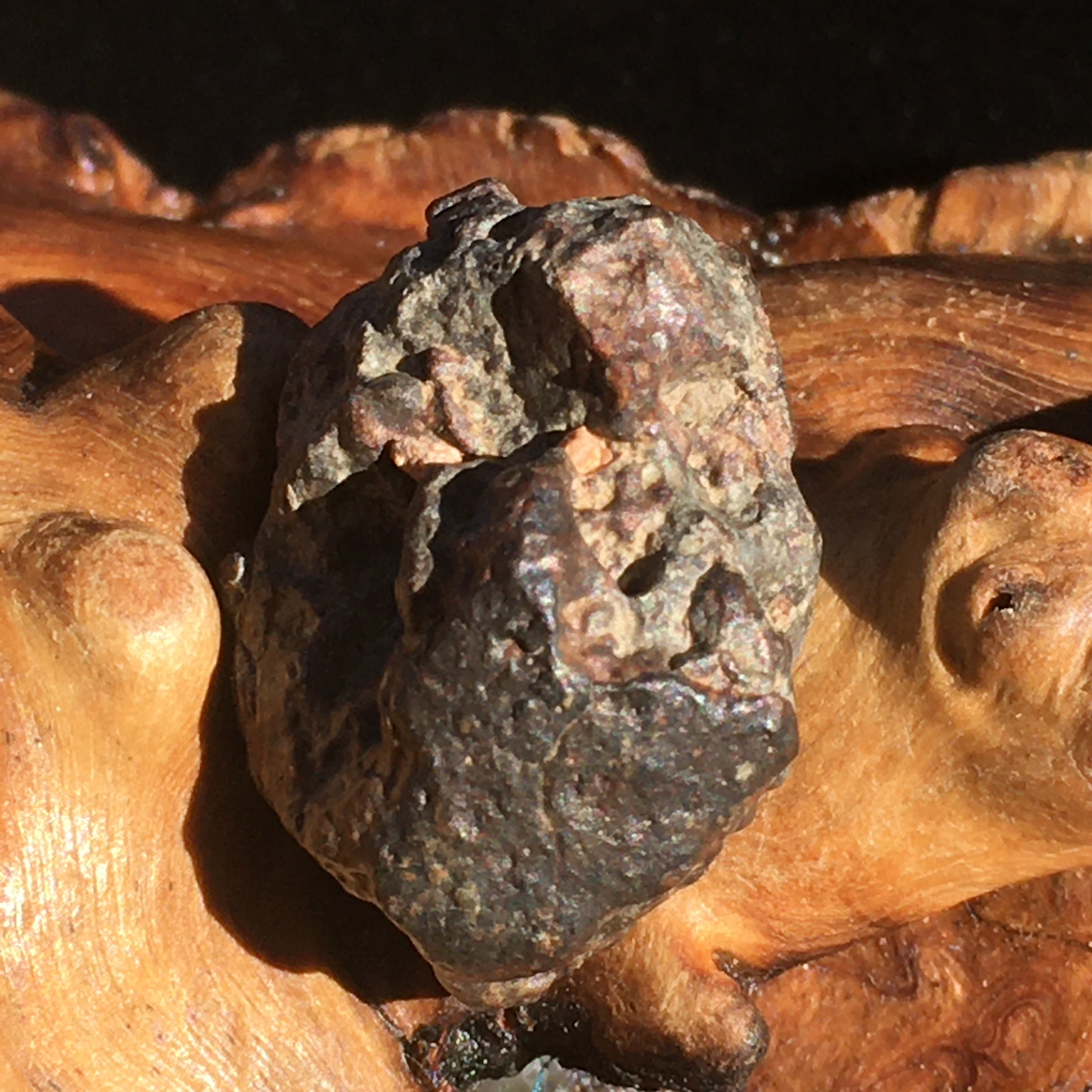 NWA 869 Meteorite Chondrite 9.1 grams-Moldavite Life