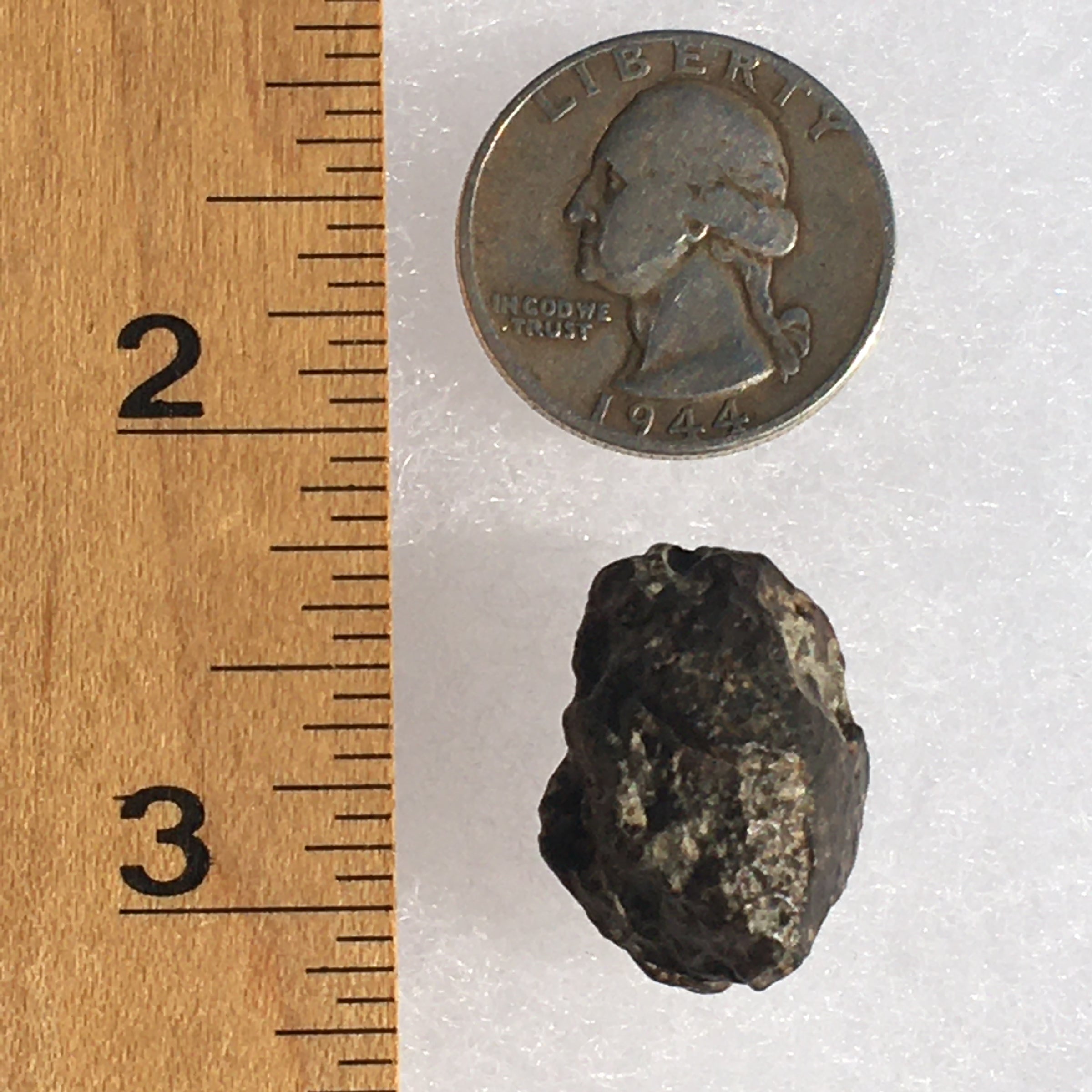 NWA 869 Meteorite Chondrite 9.1 grams-Moldavite Life