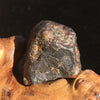 NWA 869 Meteorite Chondrite 10 grams-Moldavite Life