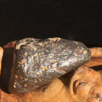 NWA 869 Meteorite Chondrite 9.4 grams-Moldavite Life