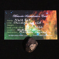 NWA 869 Meteorite Chondrite 9.4 grams-Moldavite Life