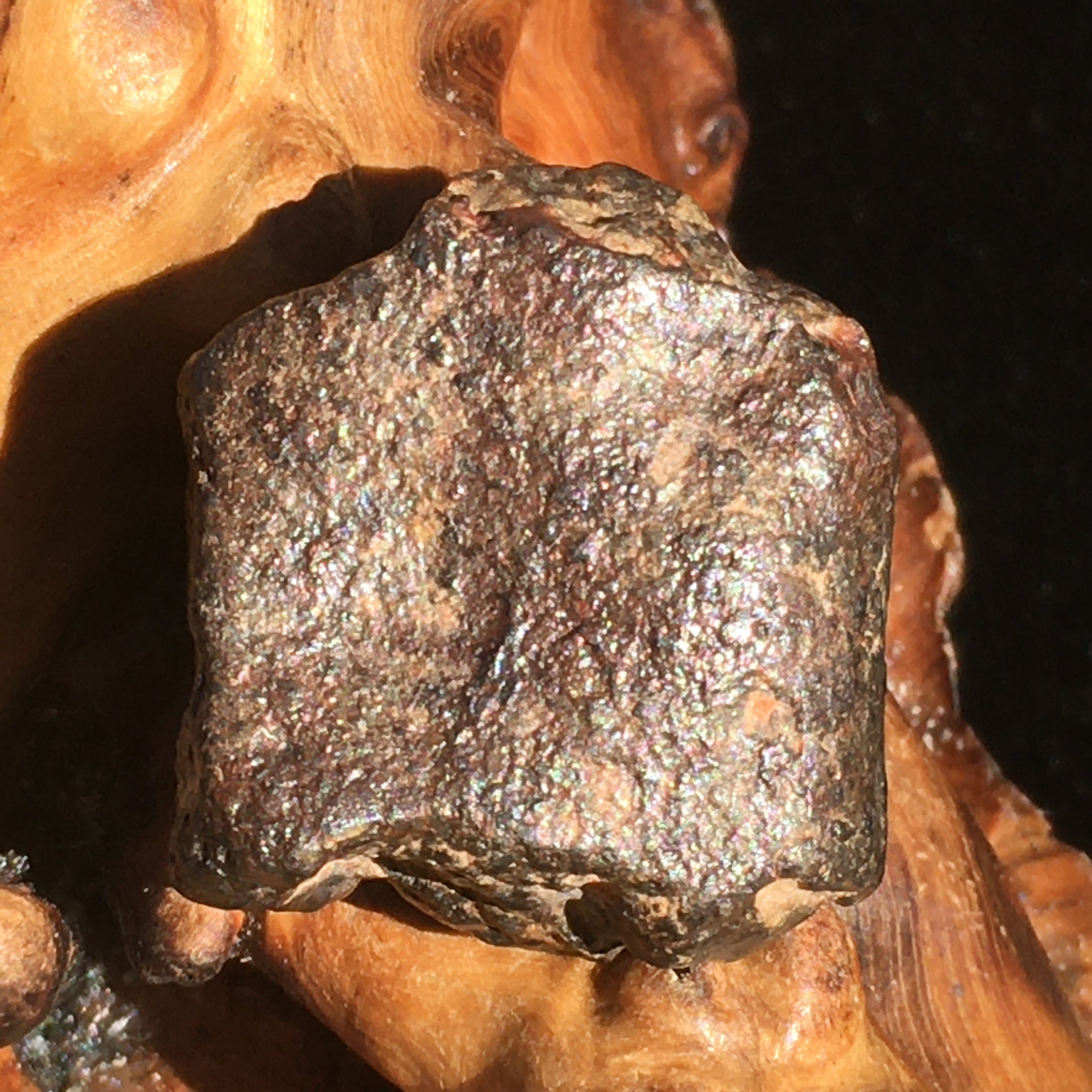NWA 869 Meteorite Chondrite 12.7 grams-Moldavite Life