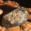 NWA 869 Meteorite Chondrite 11.5 grams-Moldavite Life