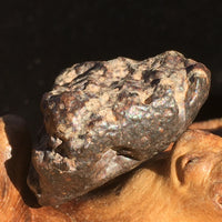 NWA 869 Meteorite Chondrite 12.5 grams-Moldavite Life