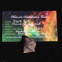 NWA 869 Meteorite Chondrite 10.2 grams-Moldavite Life