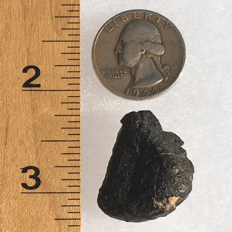 NWA 869 Meteorite Chondrite 10.1 grams-Moldavite Life