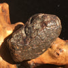 NWA 869 Meteorite Chondrite 16.4 grams-Moldavite Life