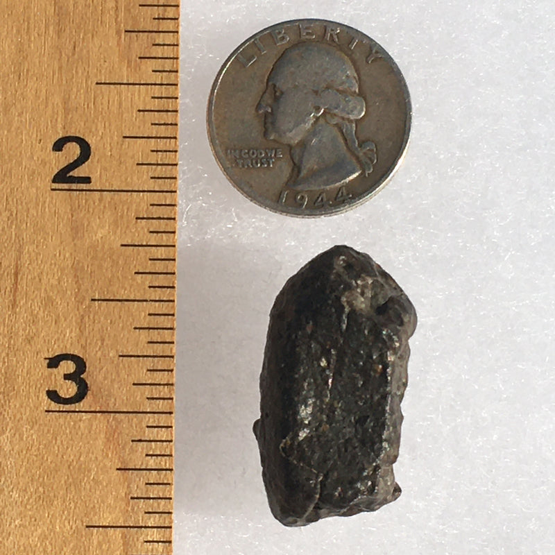 NWA 869 Meteorite Chondrite 16.4 grams-Moldavite Life