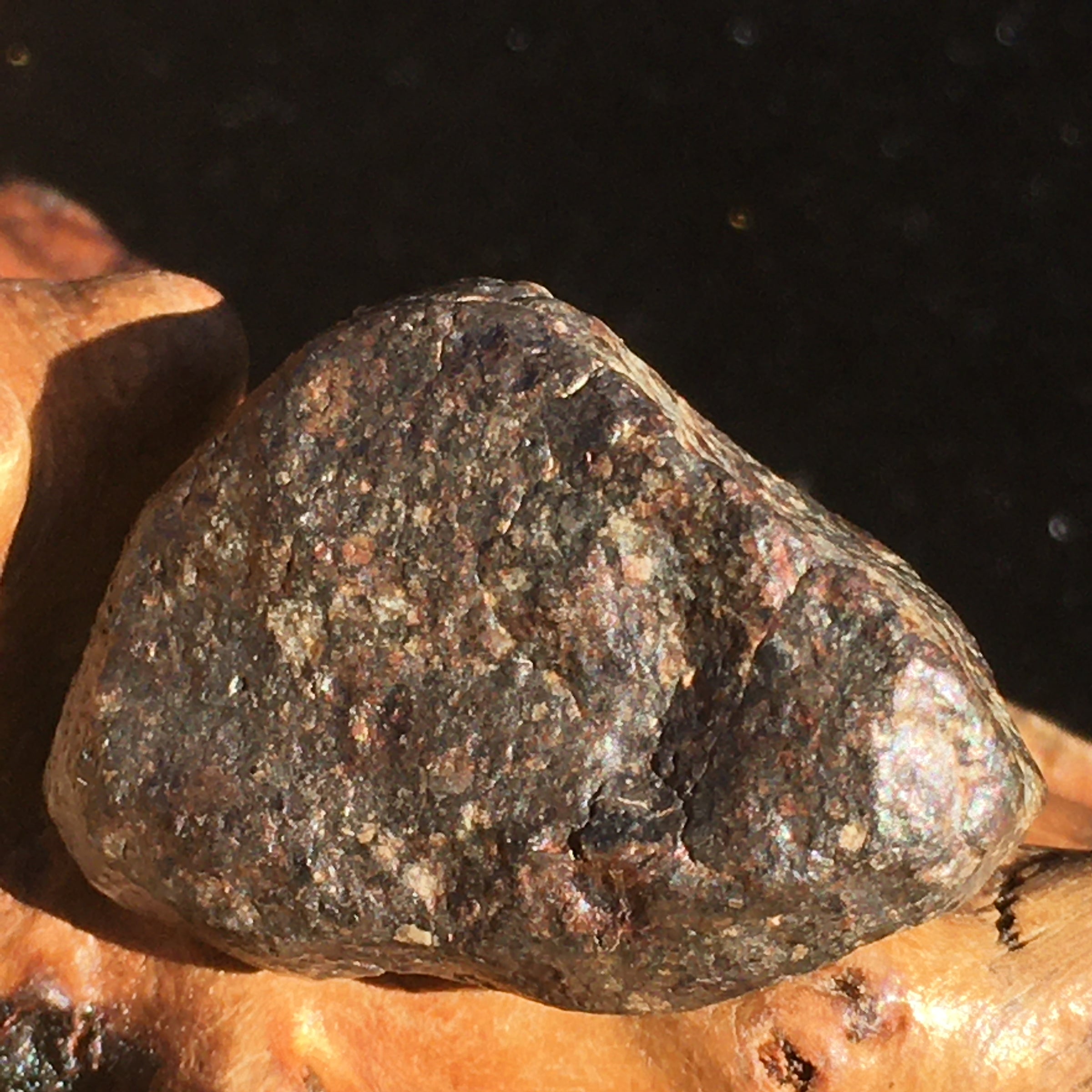NWA 869 Meteorite Chondrite 12.7 grams-Moldavite Life