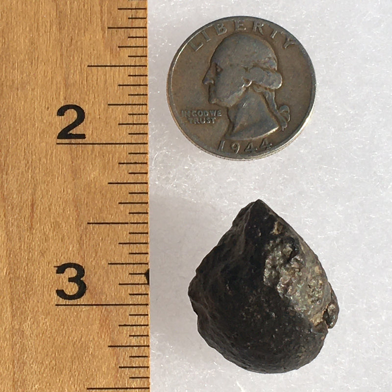 NWA 869 Meteorite Chondrite 14.3 grams-Moldavite Life